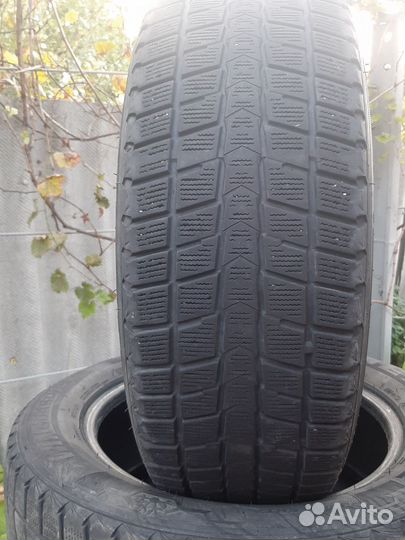 Nexen Winguard Ice 225/60 R17