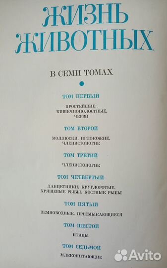 Энциклопедия 