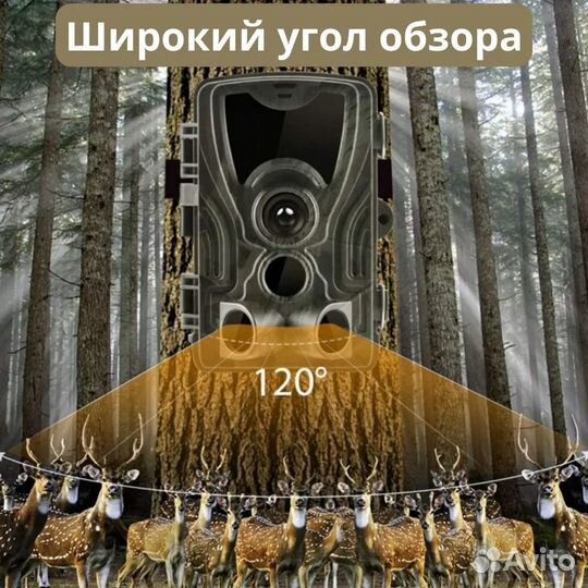 Фотоловушка для охоты Suntec HC-801A