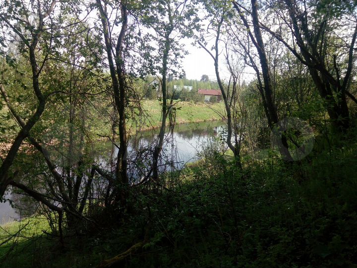 Участок 10 сот. (ИЖС)