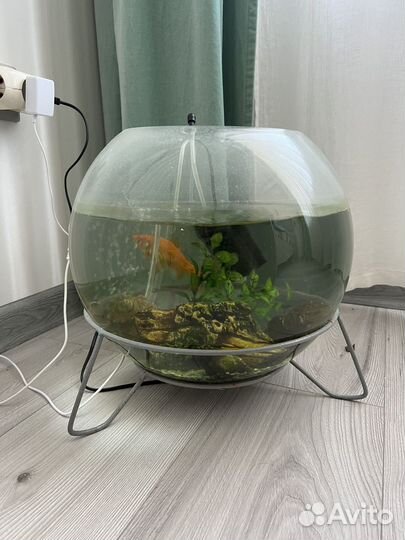 Аквариум с рыбками