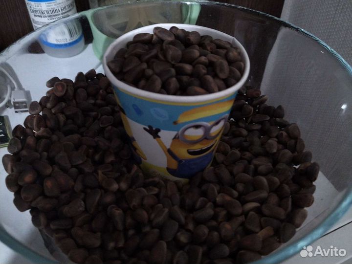 Шишка кедровая