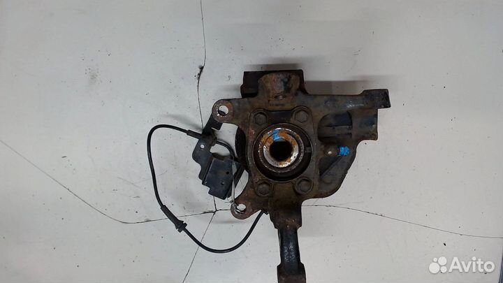 Ступица (кулак, цапфа) Nissan Elgrand, 2008