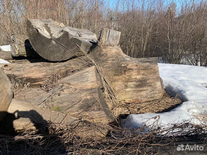 Брёвна дуба/большой диаметр/ кругляк