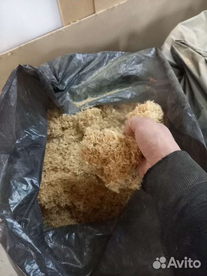 Опилки стружка бесплатно