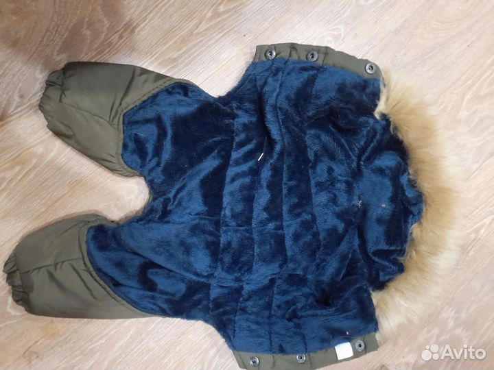 Одежда для собак