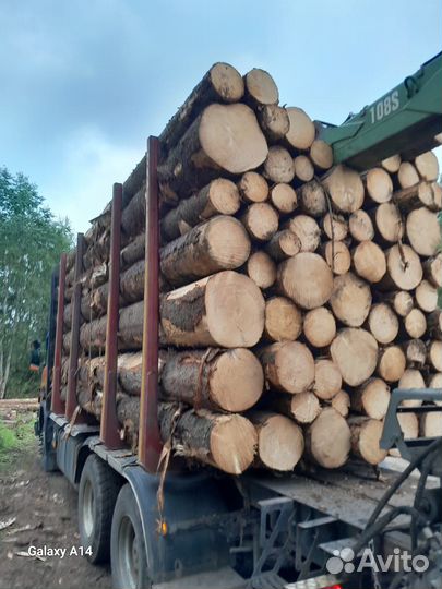 Лес кругляк кругляком