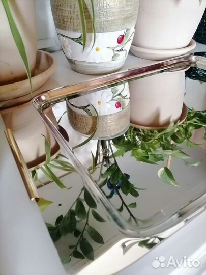 Zepter посуда и приборы