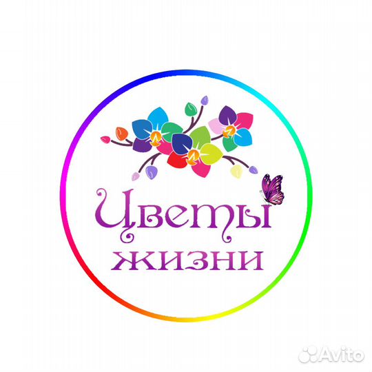 Помощник воспитателя