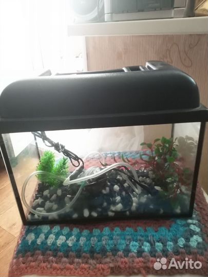 Аквариум