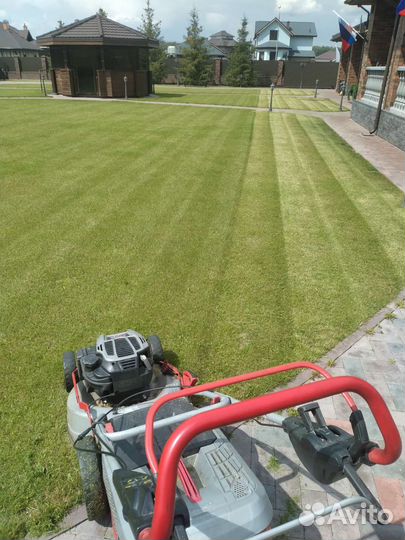 Покос травы, стрижка газона