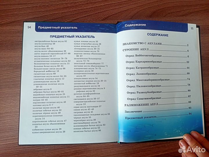 Энциклопедия Акулы