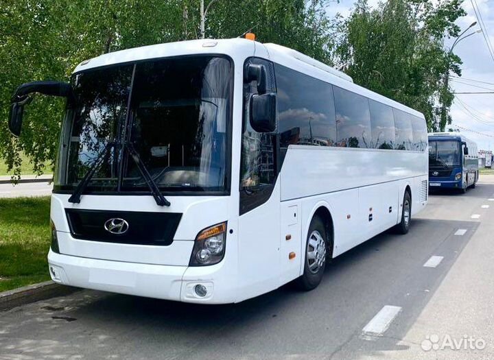 Трансфер/заказ микроавтобус/автобус