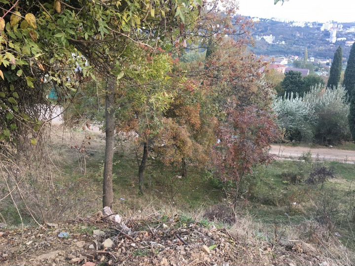 Участок 8 сот. (ИЖС)