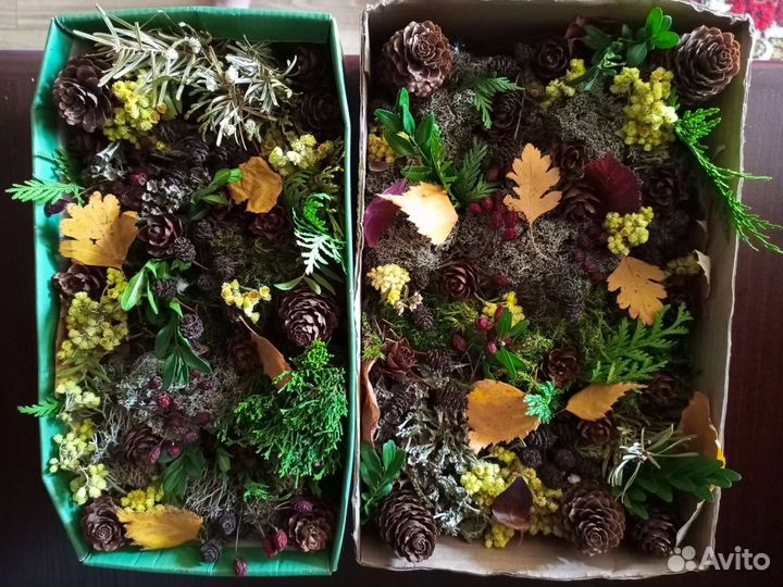 Природный материал для творчества