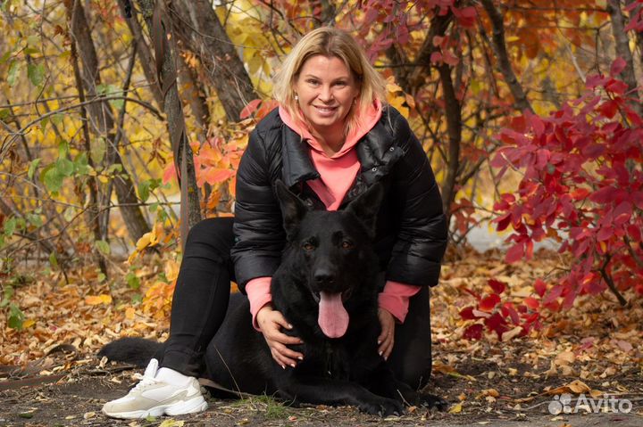 Дрессировка собак-Кинолог