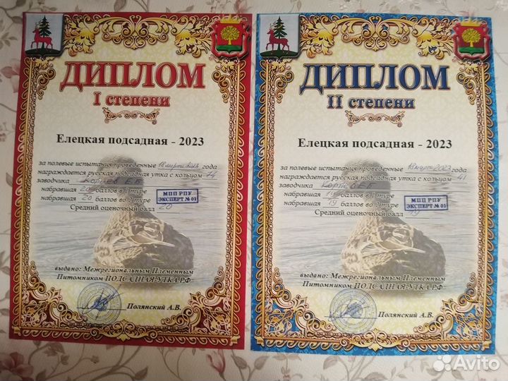 Утки подсадные для охоты