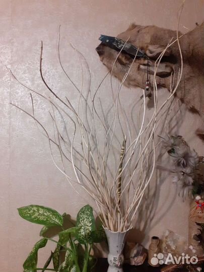 Ветки декоративные, спираль