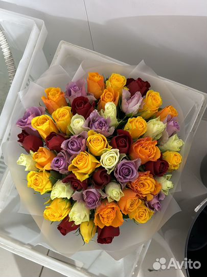 51 роза 101 роза