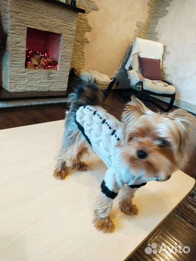 Вязание на заказ теплых вещей для собак и кошек