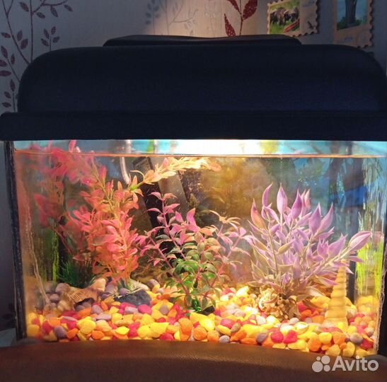 Аквариум с фильтром рыбкой и украшениями
