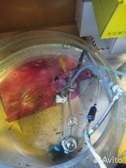 Аквариум 200 л с тумбой, оборудованием и рыбами