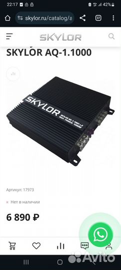 Моноблок Skylor 1.1000