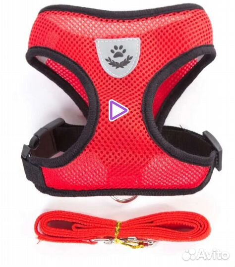 Шлейка для собаки с поводком