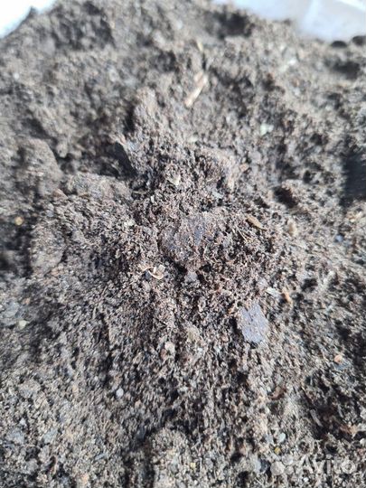 Жмых подсолнечный