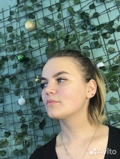 Мастер бровист