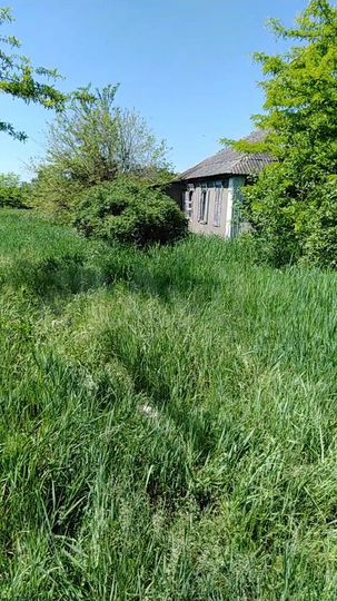 Дача 62 м² на участке 37 сот.