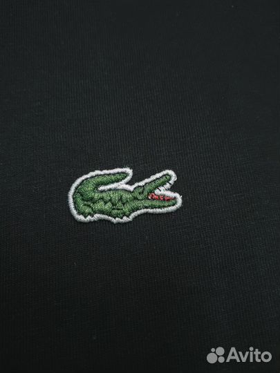 Комфорт и стиль: комплект от Lacoste