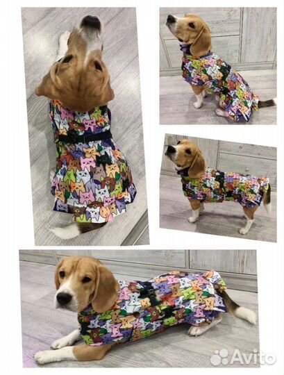 Комбинезон для бигля