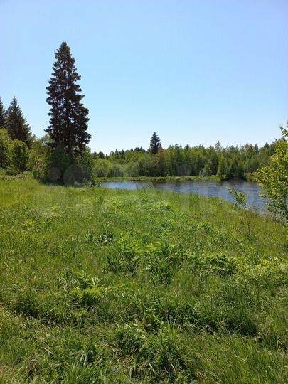 Участок 15 сот. (СНТ, ДНП)