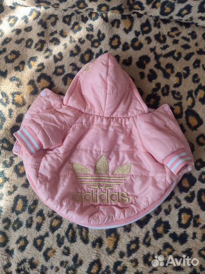 Вещи для маленьких собак