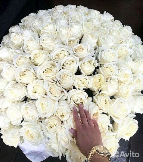 101 Роза Цветы Букеты 51 25 Роз Доставка