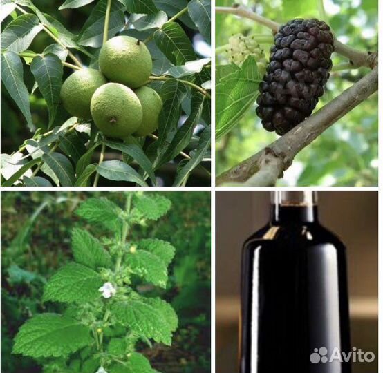 Медовый Бальзам с Черным орехом на травах