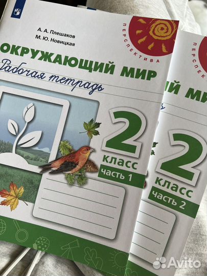 Рабочая тетрадь 2 класс окружающий мир