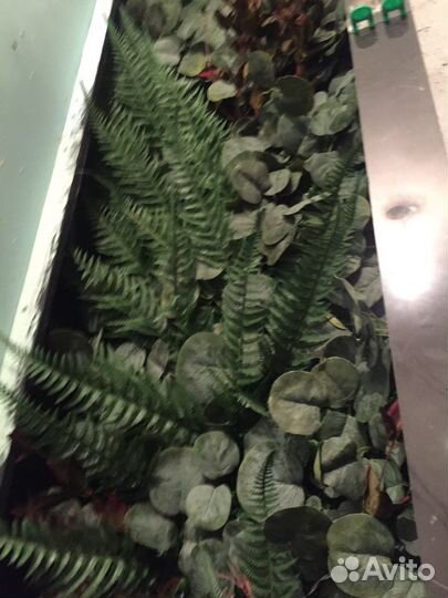 Фитостена из искусственных растений