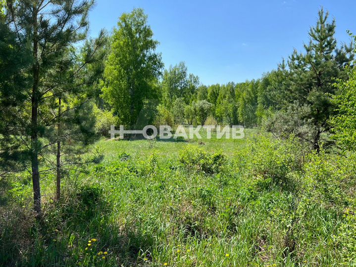 Участок 4 сот. (СНТ, ДНП)