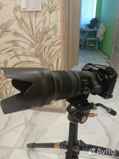 Sigma 70-200 apo os nikon