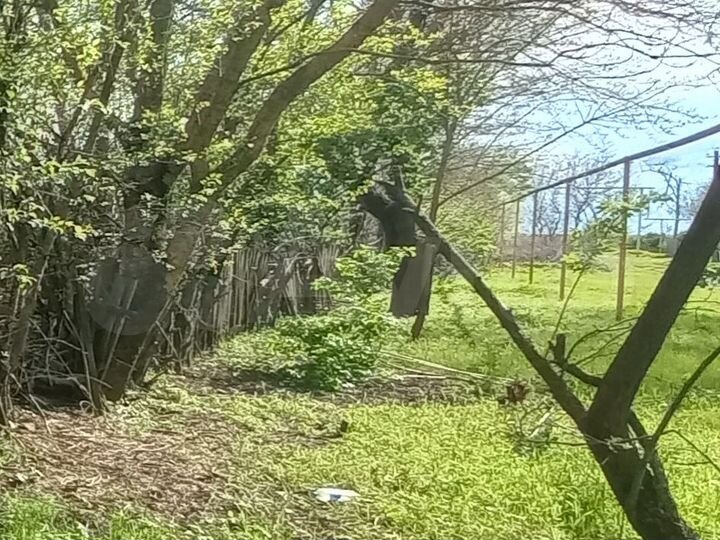 Участок 41 сот. (ИЖС)