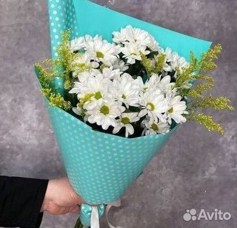 Цветы Хризантемы букет