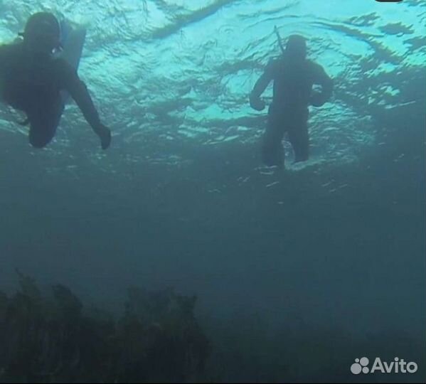 Морской еж (икра), гребешок, мидии, краб, рыбалка