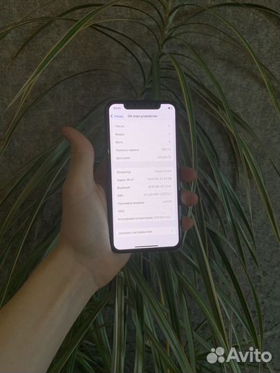 iPhone X, 256 ГБ