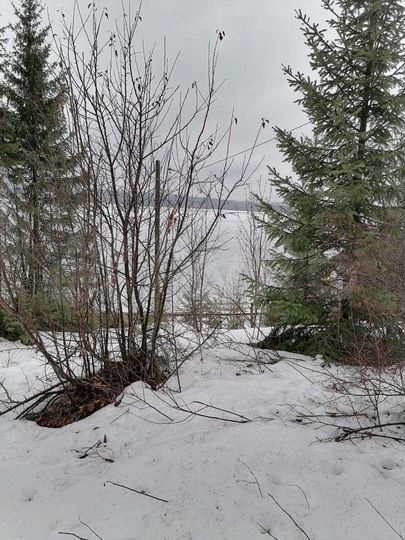 Участок 20 сот. (ИЖС)