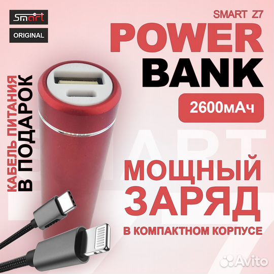 Портативное зарядное устройство (Power Bank) 2600