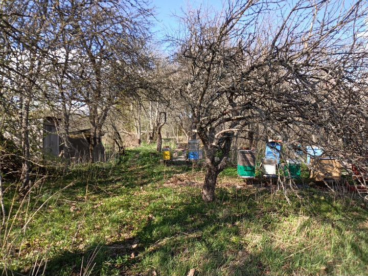 Участок 13 сот. (ИЖС)