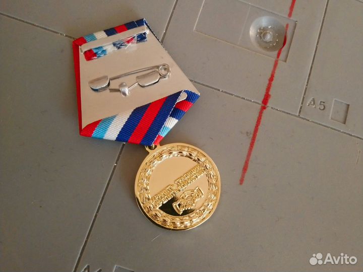 Медаль За заслуги перед ветеранским движением