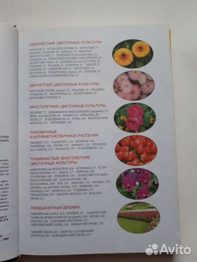 Книга Цветы на вашем участке